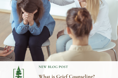grief counseling