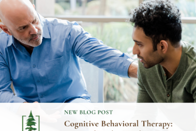 cognitive behavior therapy: criminal backgrounds