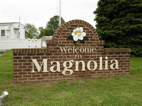 Magnolia magnolia texas counseling and therapy